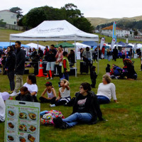 Crisis in Wellington Health Collective as providers disagree