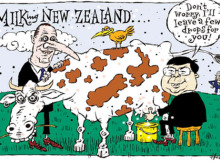 NZ a Chinese village specialising in dairy products?